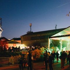 CARBON_2025_Dominika_Scheibinger_13