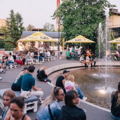 CARBON_2025_Dominika_Scheibinger_54